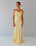 Danielle Dress